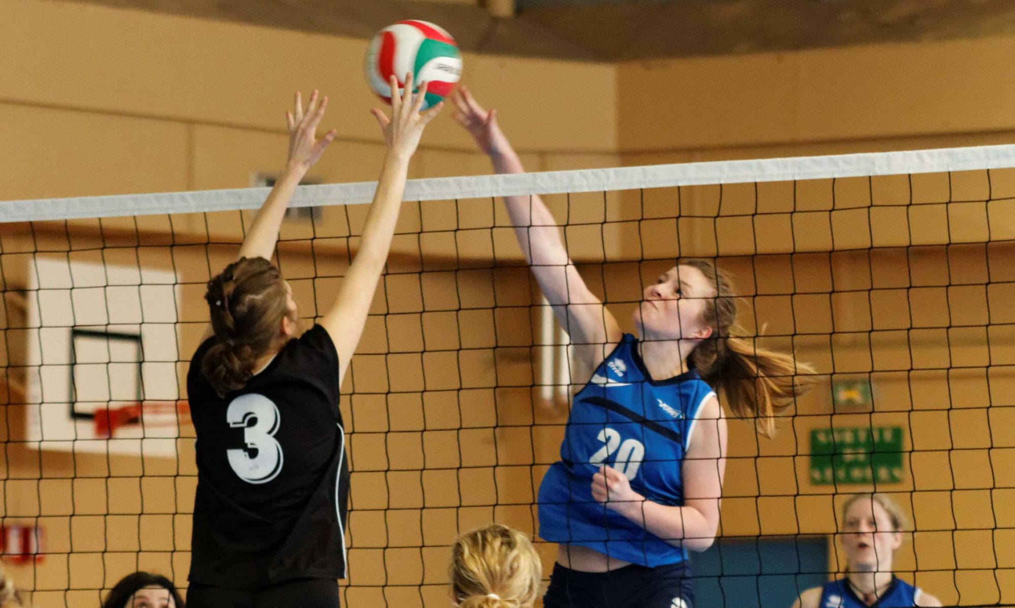 Volley 6